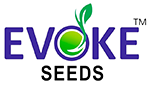 footer logo 2