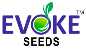 Evoke Seeds