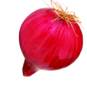 Onion Bhima Dark Red