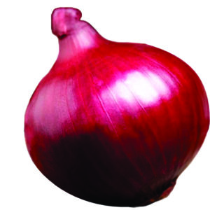 Onion China Gold