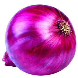 Onion Sampurna-85