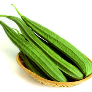 Ridge Gourd Soniya F1